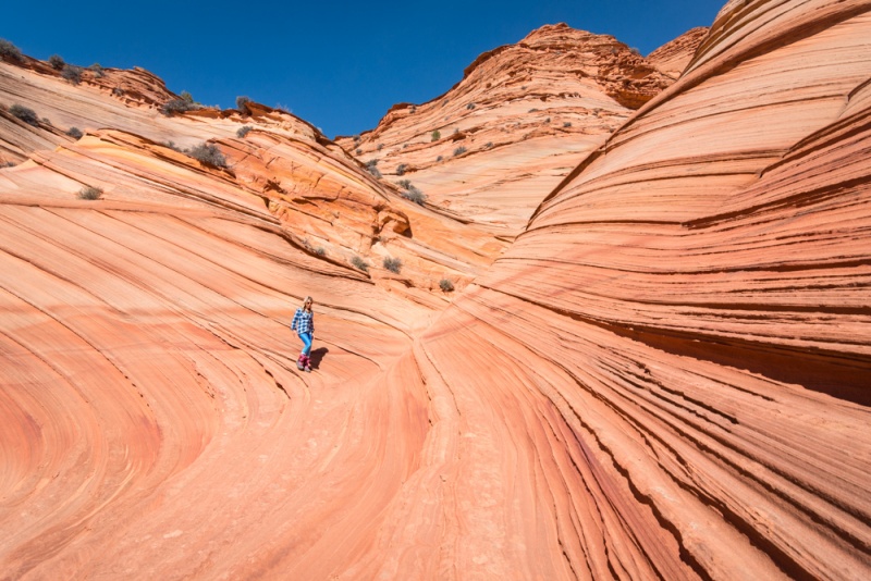 The Wave Lottery: The Wave Arizona Permit: An Alternative to The Wave, Coyote Buttes South, Arizona