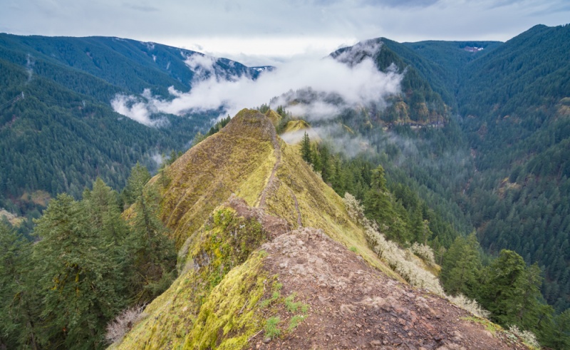 The Best Things to do in Portland, Oregon: Drive Through the Columbia River Gorge: Munra Point in the Columbia River Gorge, Oregon by Wandering Wheatleys