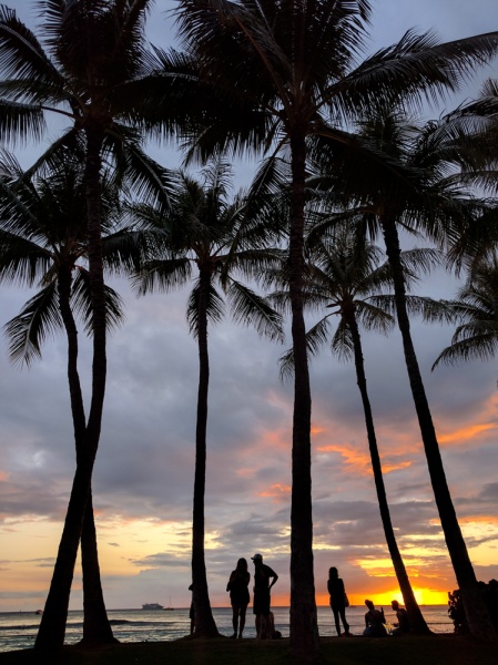 Secret Things to do in Oahu: Insider Hawaii Tips: Sunset in Waikiki, Honolulu, Hawaii by Wandering Wheatleys
