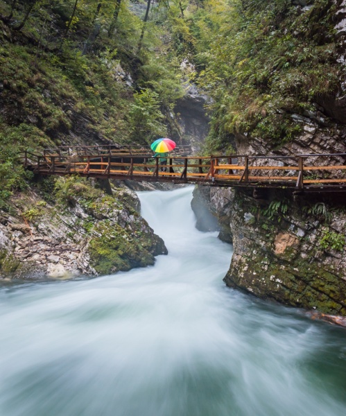 Things to do in Slovenia: What to do in Slovenia: Vintgar Gorge, Slovenia by Wandering Wheatleys