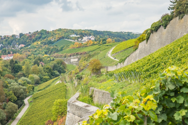 Southern Germany Road Trip: Southern Germany Itinerary: Vineyards in Würzburg, Germany by Wandering Wheatleys