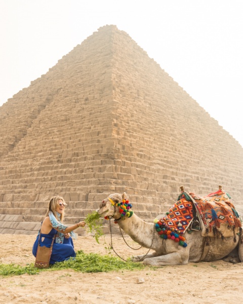 Visiting the Pyramids: Complete Guide to the Great Pyramids of Giza: Feeding a Camel at Menkaure's Pyramid