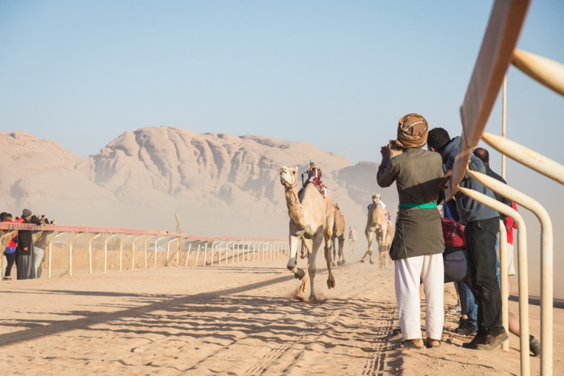 The Best Places to Visit in Jordan: Tourist Attractions: Camel Race, Wadi Rum, Jordan by Wandering Wheatleys