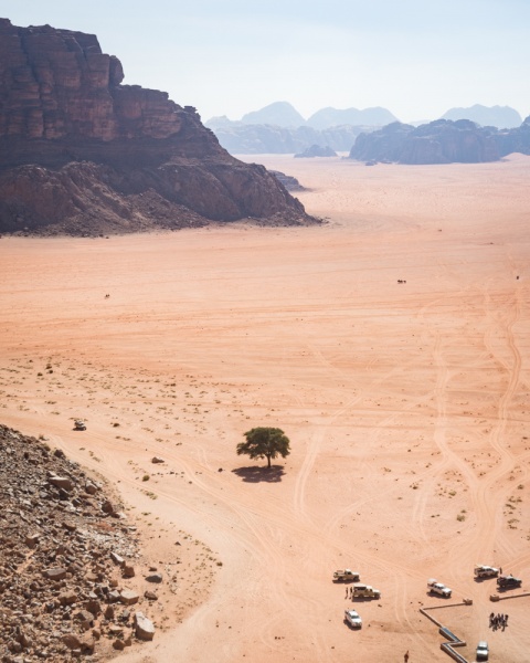 The Best Places to Visit in Jordan: Tourist Attractions: Lone Tree in Wadi Rum, Jordan by Wandering Wheatleys