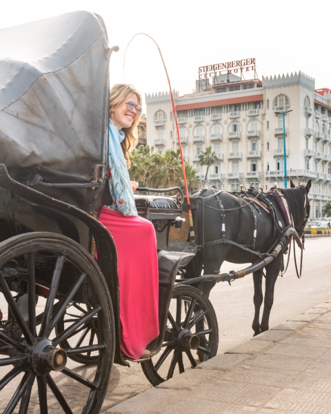 Things to Do in Alexandria, Egypt: Best Places in Alexandria: Horse Carriage in Alexandria, Egypt by Wandering Wheatleys