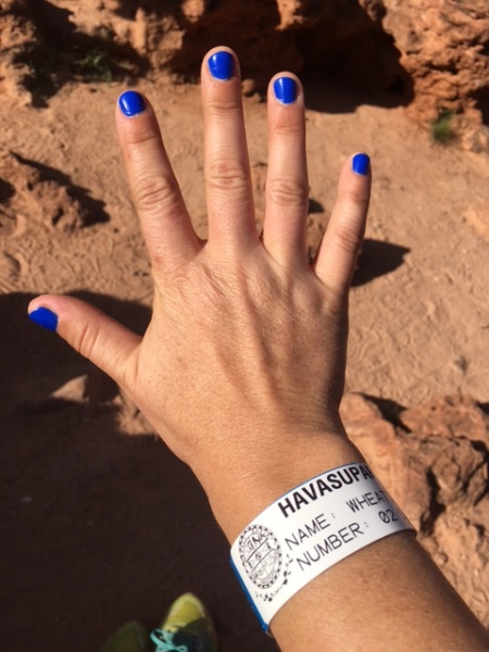 Wristban permit for Havasu Falls by Wandering Wheatleys