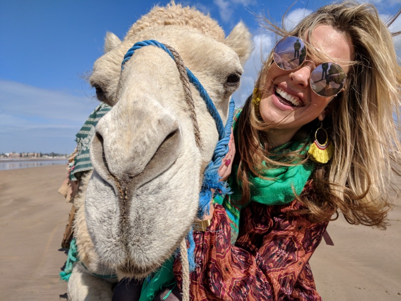 What to do in Essaouira: Best Things to do in Essaouira, Morocco: Camel on the beach in Essaouira, Morocco by Wandering Wheatleys