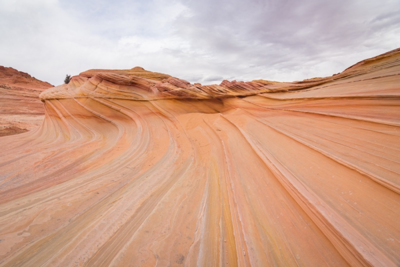The Wave Lottery: The Wave Arizona Permit: Fine for hiking The Wave without a permit by Wandering Wheatleys