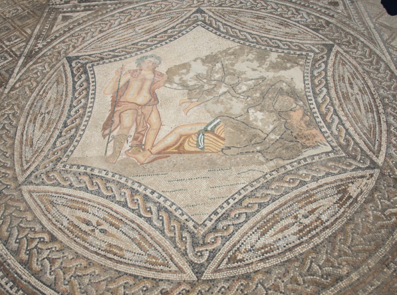 Mosaic at the House of the Rider, Volubilis, Morocco