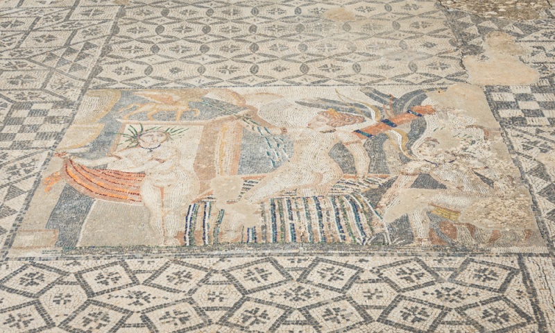 Mosaic at the House of Venus, Volubilis, Morocco by Wandering Wheatleys