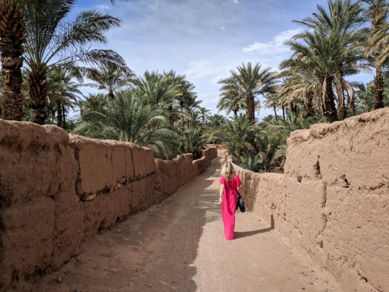 Eastern Morocco Road Trip: Moroccan Desert: River walks in Zagora, Morocco by Wandering Wheatleys