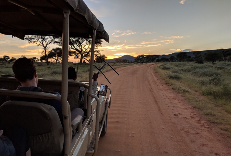Sunrise game drive at Okonjima Nature Reserve by Wandering Wheatleys