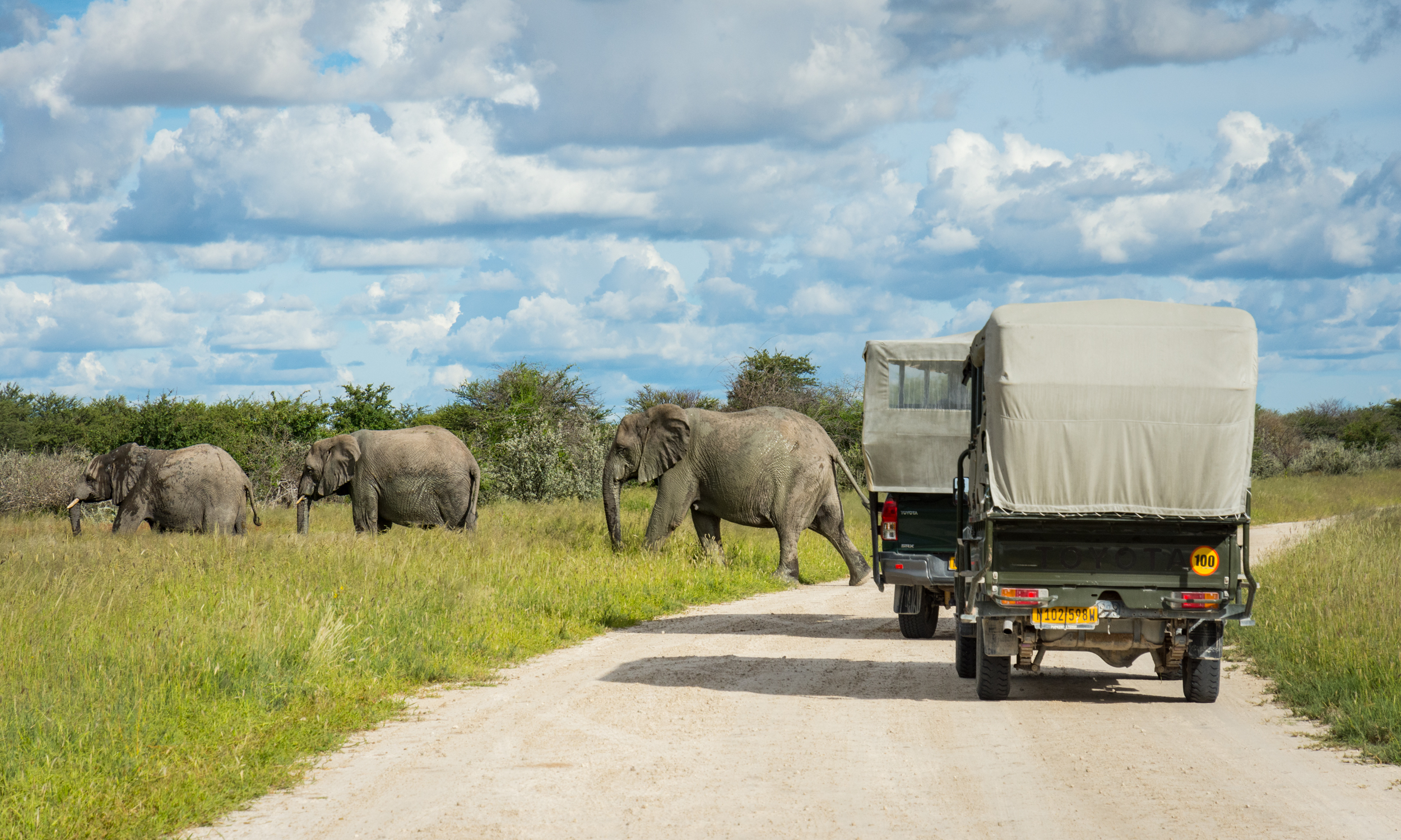namibia safari itinerary