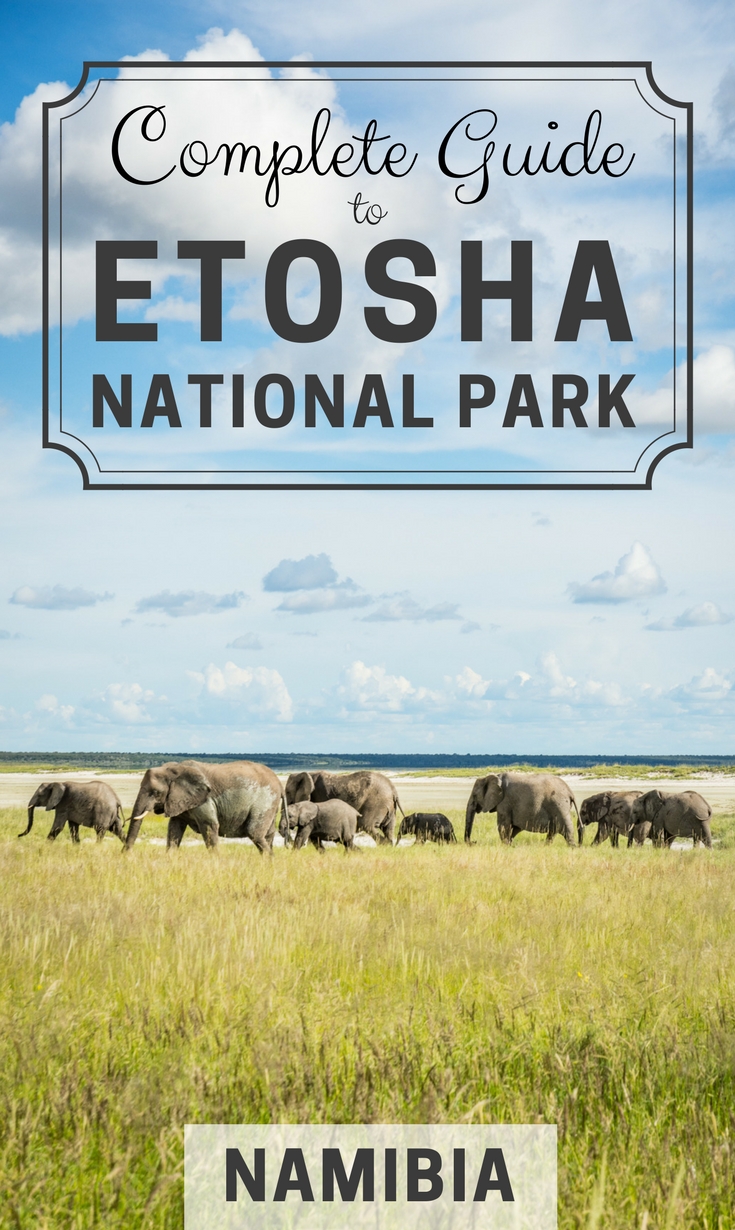 Complete Guide to Etosha National Park, Namibia by Wandering Wheatleys