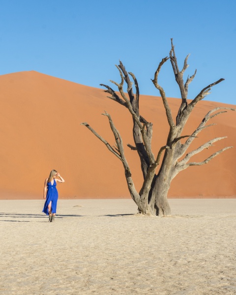 Namibia Self Drive Itinerary: Namibia Road Trip: Deadvlei in Sossusvlei National Park, Namibia by Wandering Wheatleys