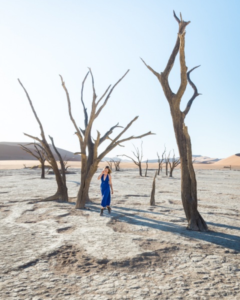 Namibia Self Drive Itinerary: Namibia Road Trip: Deadvlei in Sossusvlei National Park, Namibia Trees by Wandering Wheatleys