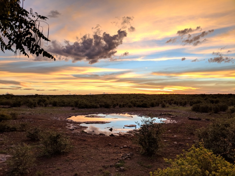 Etosha National Park: Namibia: Sunset at the Halali Watering Hole, Etosha National Park, Namibia by Wandering Wheatleys