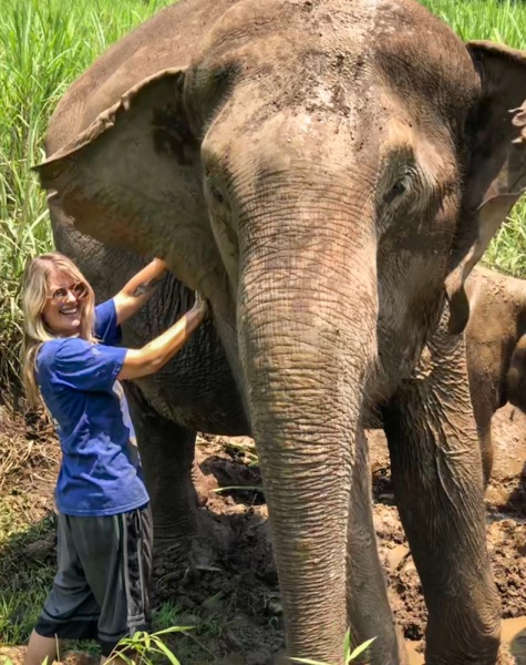 ThingsTo Do in Chiang Mai: Bathe an Elephant