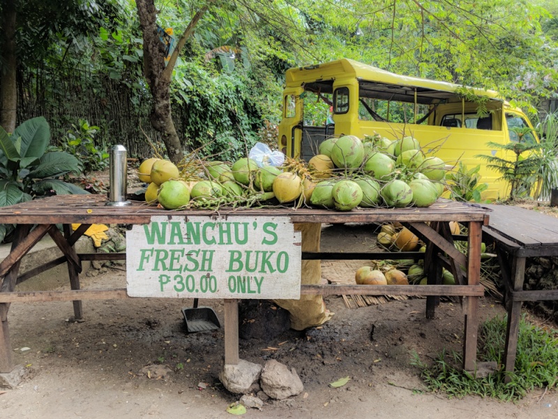 Best Food to Eat in the Philippines: Buko