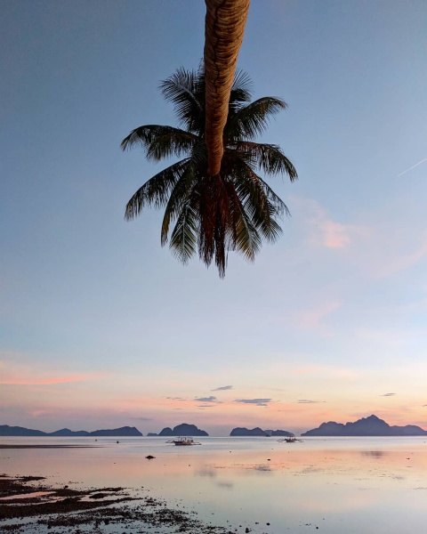 Things to Know Before Visiting El Nido, Palawan: Palm Tree Sunset in El Nido
