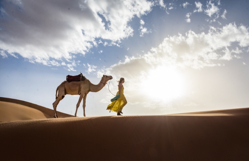 What to Pack for a Vacation in Morocco: Camel in the Desert