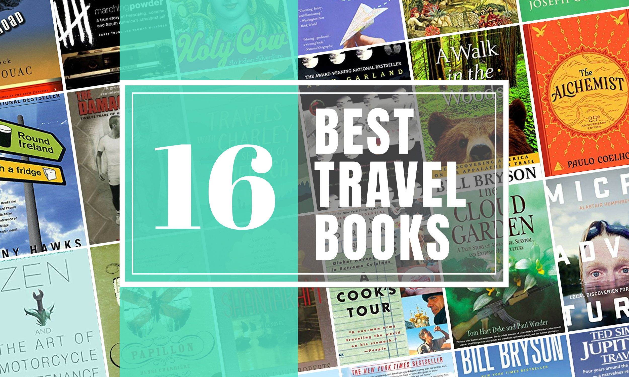 travel books for adults