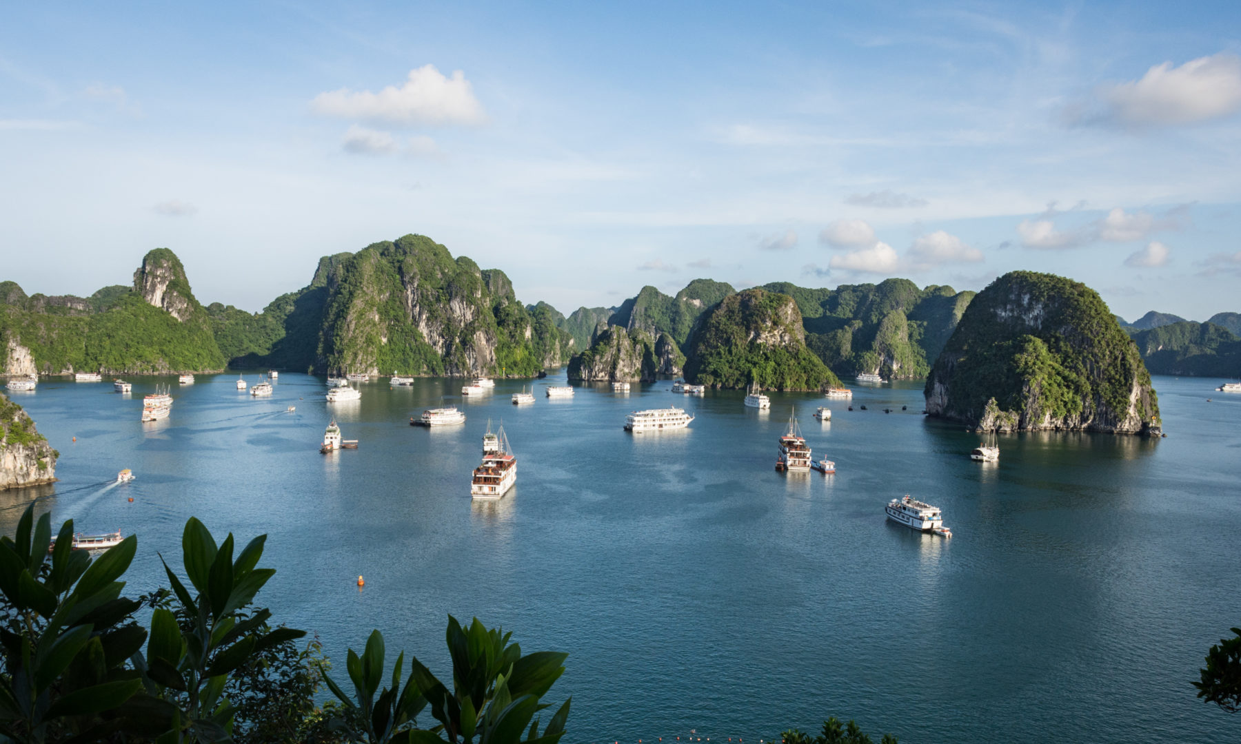 How to Choose the Best Halong Bay Cruise