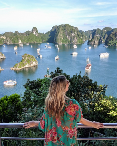 Choose the Best Halong Bay Cruise: View from Ti Top Island