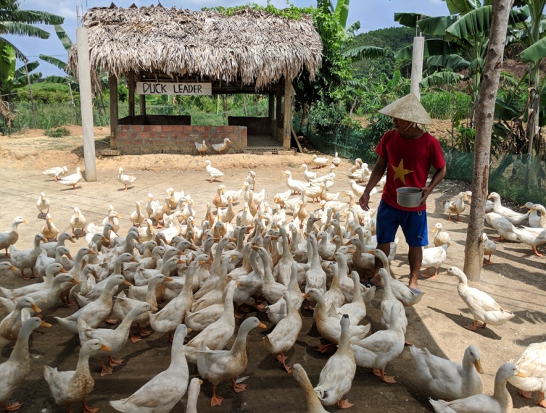 Phong Nha, Vietnam: The Duck Stop 
