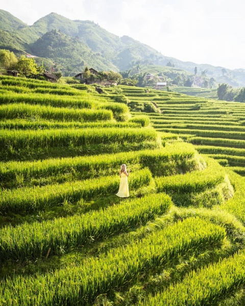 Trekking in Sapa, Vietnam: Sapa Trekking: Rice Terraces in Ta Van
