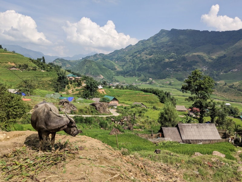 Trekking in Sapa, Vietnam: Sapa Trekking: Views from Ta Van village