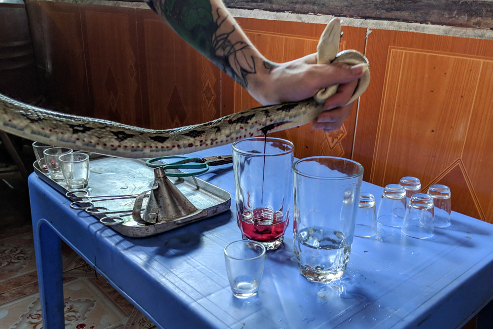 Things To Do in Hanoi, Vietnam: Eat Snake in Le Mat