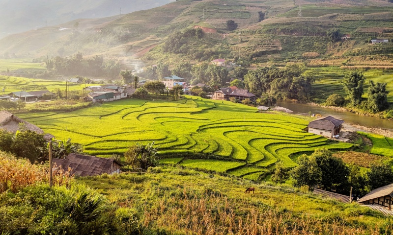 Trekking in Sapa, Vietnam: Rice Terraces in Ta Van