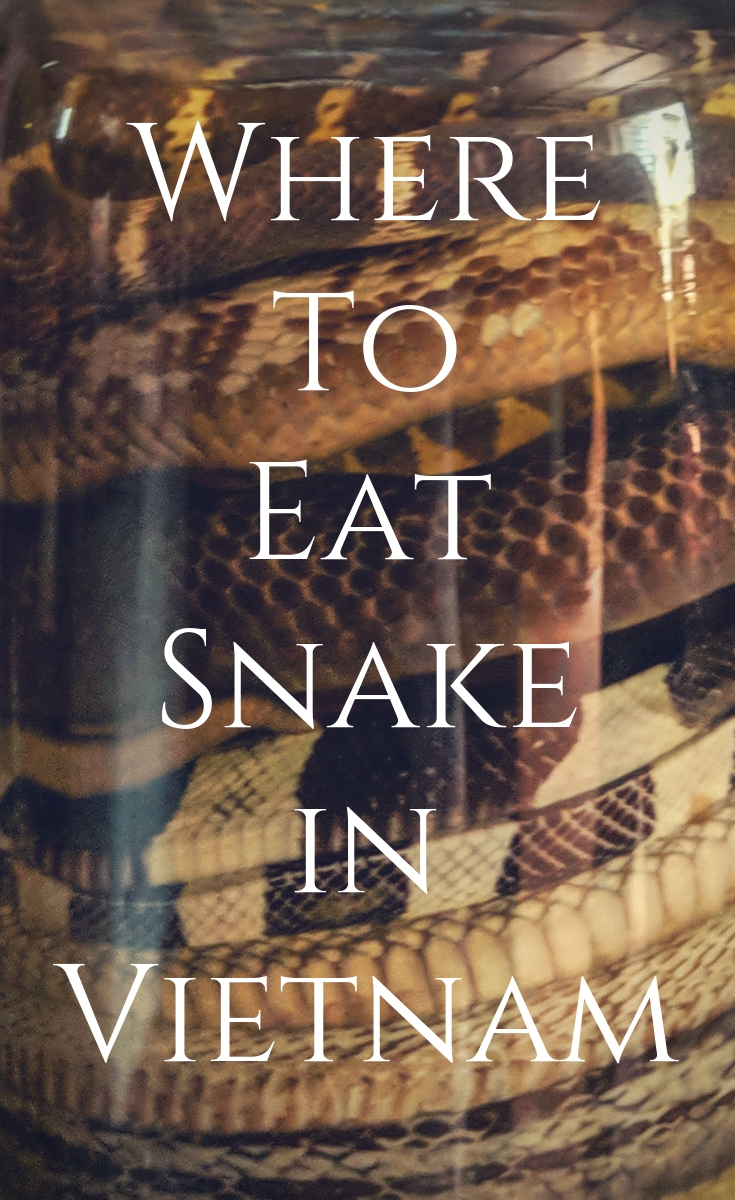 Where to Eat Snake in Vietnam