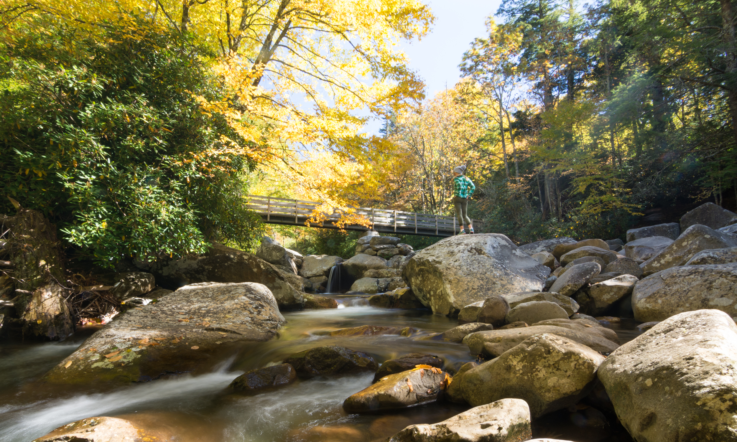 best day hikes in the smokies