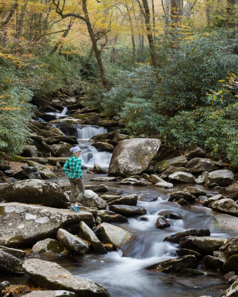 Best Hikes in the Smoky Mountains: Best Hikes in the Smokies: Great Smoky Mountains: Chimney Tops