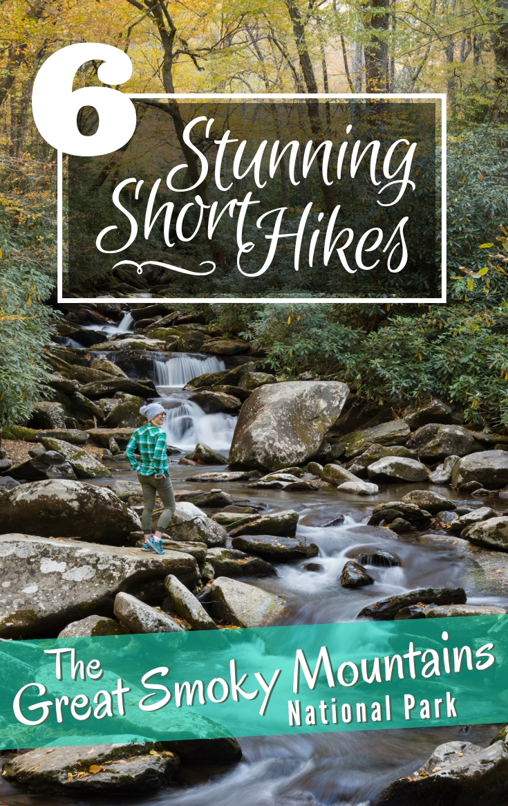 6 Stunning Short Hikes in the Great Smoky Mountains National Park