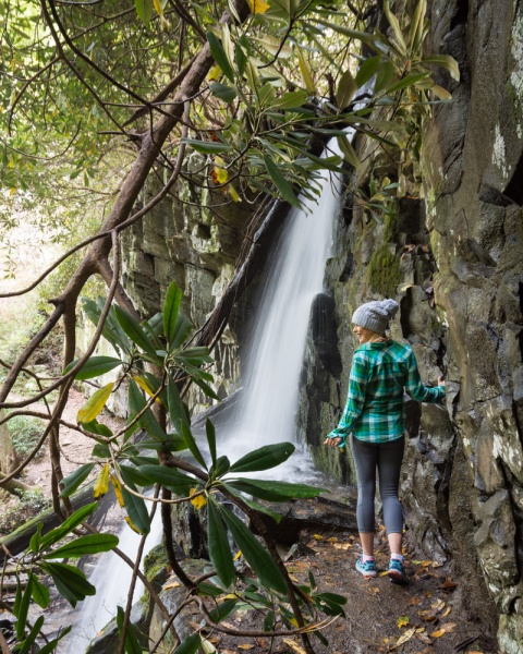 Best Hikes in the Smoky Mountains: Best Hikes in the Smokies: Great Smoky Mountains: Best Short Hikes in the Great Smoky Mountains: Baskins Falls