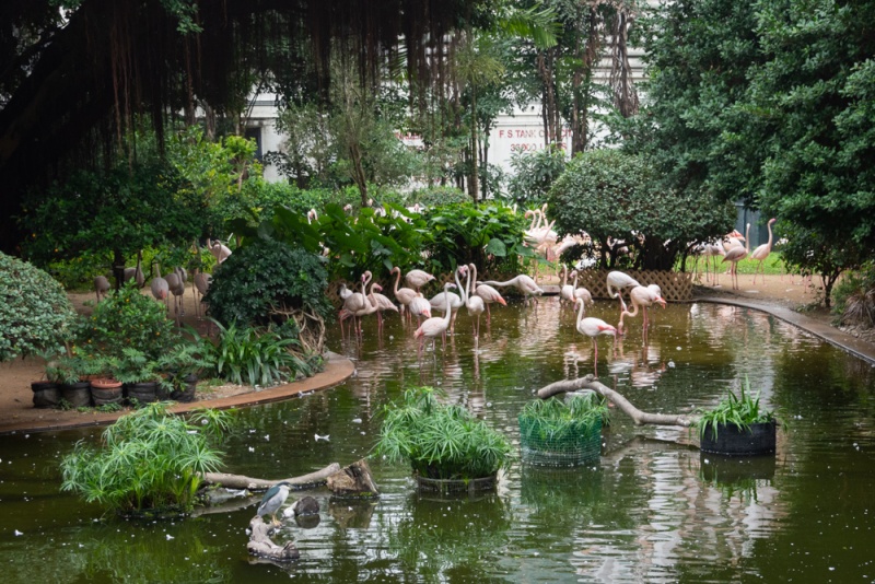 Things to do in Hong Kong: Kowloon Park