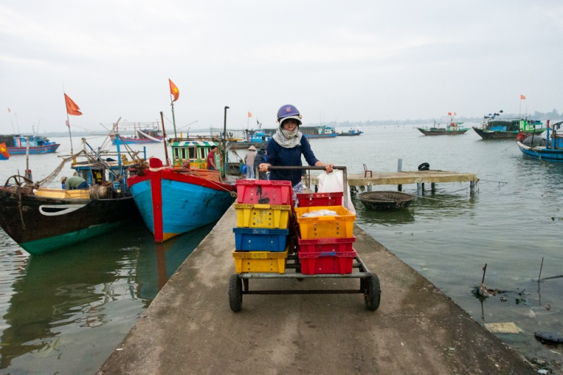 Hoi An, Vietnam: Photography Tour - Fish Market