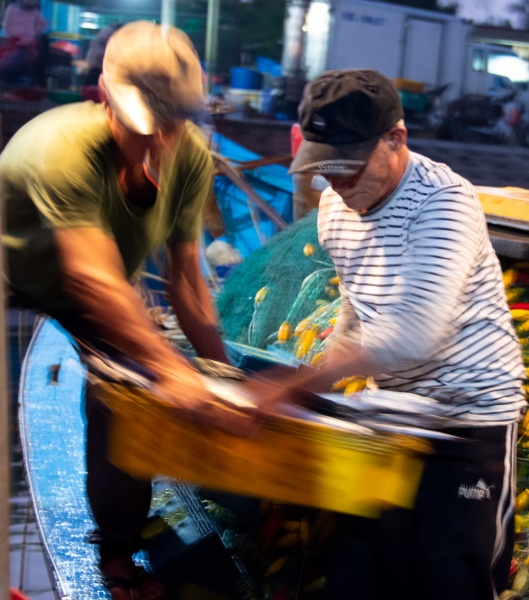 Hoi An, Vietnam: Photography Tour - Unloading Fish