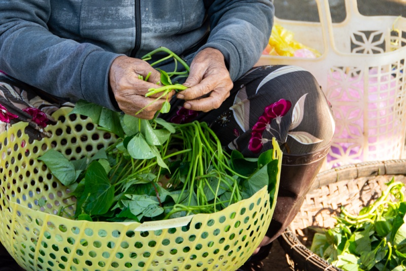 Hoi An Photo Tour, Vietnam: Woman Breaking Apart Herbs Herbs