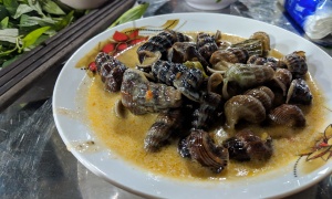 How to Order and Eat Snail, Shellfish, and Seafood in Vietnam