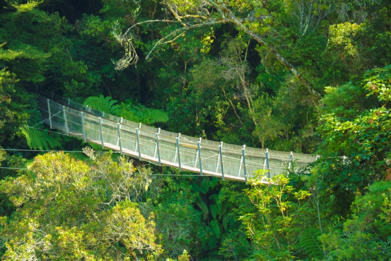 New Zealand - Best Things to do on the North Island: Kaitoke National Park, Wellington