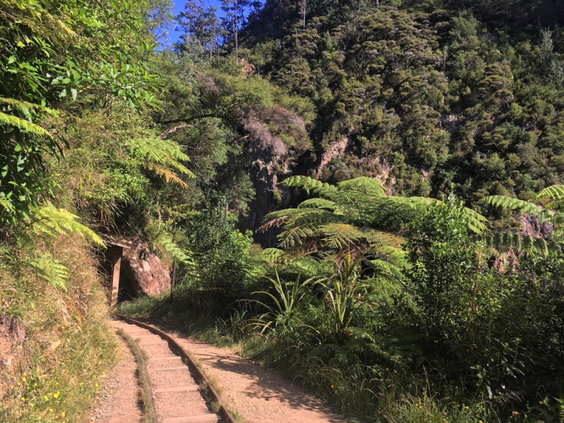 New Zealand - Best Things to do on the North Island: Hiking in Karangahake Gorge