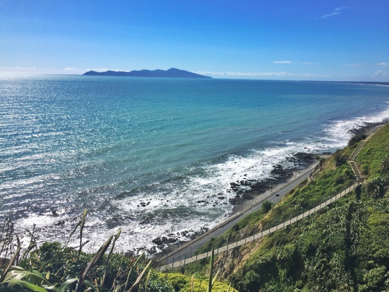 New Zealand - Best Things to do on the North Island: Paekakariki Escarpment Track