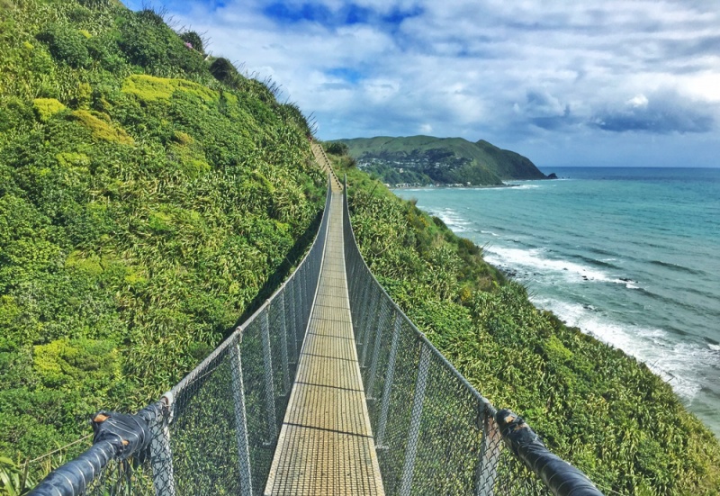 New Zealand - Best Things to do on the North Island: Paekakariki Escarpment Track
