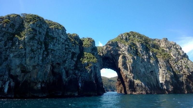 New Zealand - Best Things to do on the North Island: Scuba Diving in Poor Knights Islands