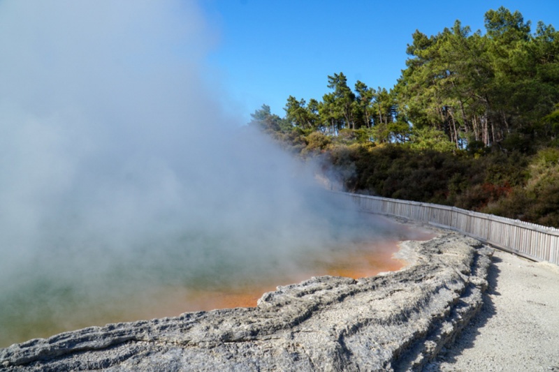 New Zealand - Best Things to do on the North Island: Campagne Pool in Wai O Tapu Thermal Wonderland
