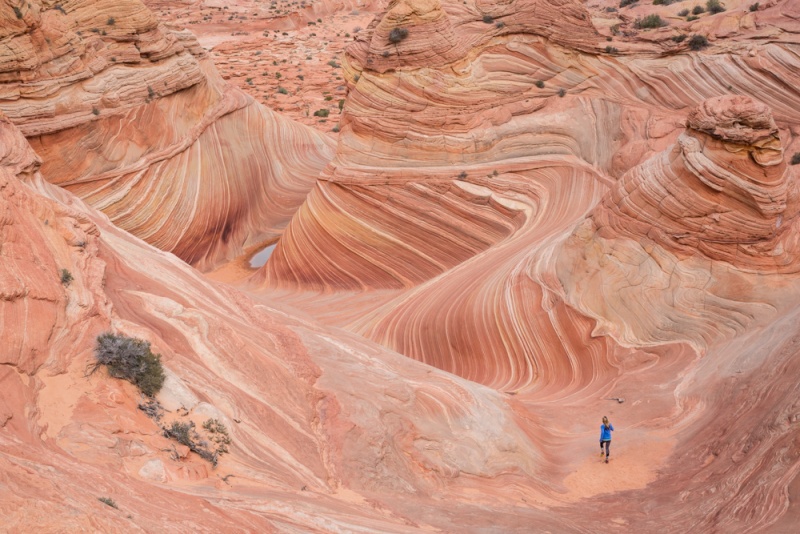 Things to Know Before Visiting the United States of America (USA): The Wave, Arizona